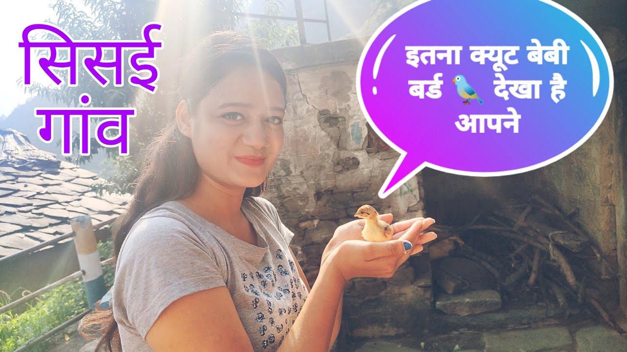 Sisai Village Bironkhal Block || Cute Chicks || Vlog-17 || @Kalpanarawatvlogs