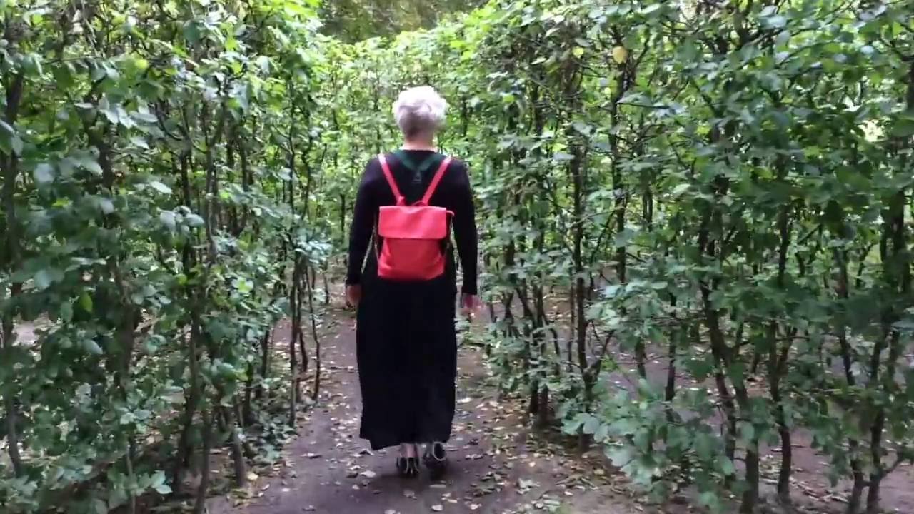 Das Hainbuchenlabyrinth in Pankow