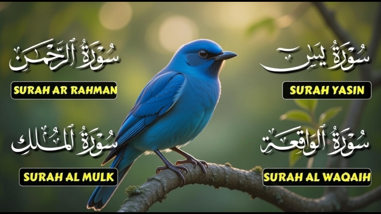 Very Nice Voice – Surah Yaseen | Ar-Rahman | Al-Waqiah | Al-Mulk | Reciter Ahmed Ibrahim