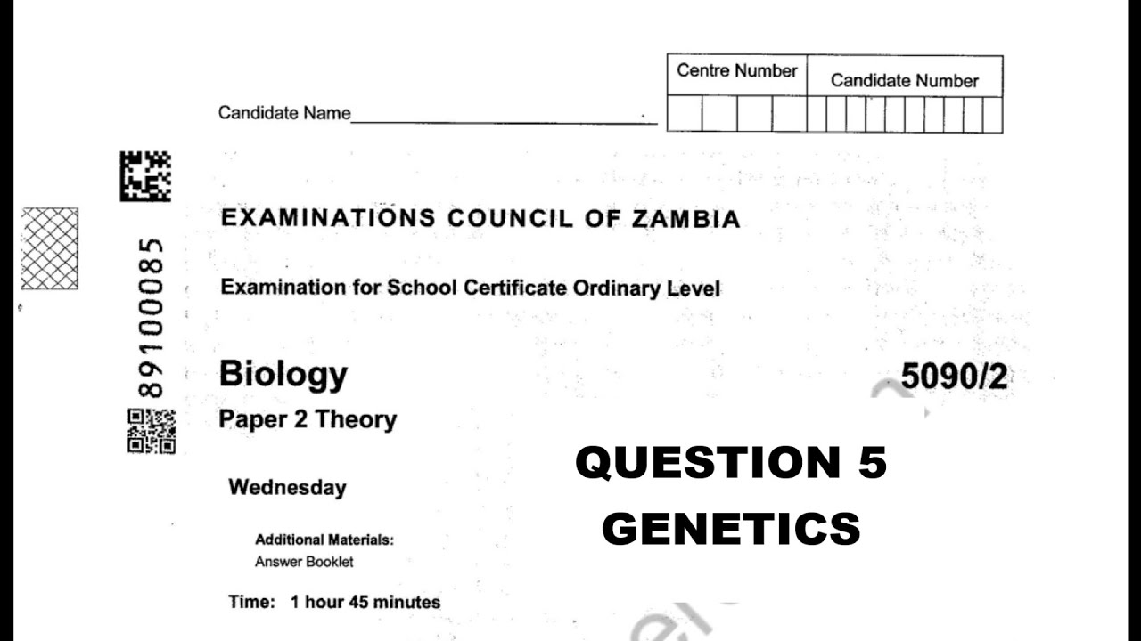 2019 Biology p2 Internal Grade 12 #2019 #biology #genetics