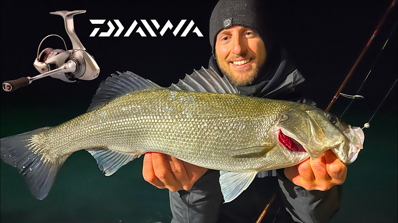 Il Light Rock Fishing è per pesci piccoli...O FORSE NO?! Nuovo Daiwa EXCELER LT
