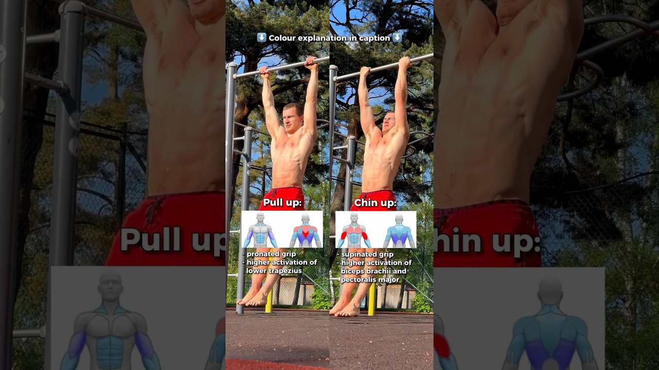 Pull up vs Chin up 💪 #calisthenics #bodyweighttraining #pullups #chinups #fitness #workout #fit