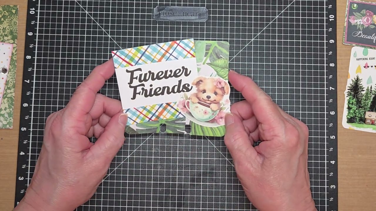 #embellishmentswithfriends2026 -  @mscraftygirl42 @craftygrandma8506 - 2.19.26