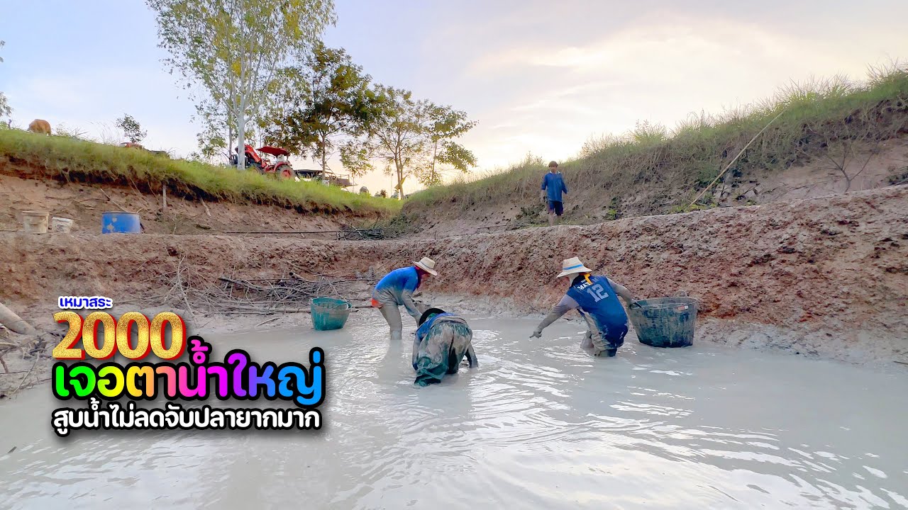 งานหิน!! เหมาสระ 2,000 บาท ติดคลองอีสานเขียว เจอตาน้ำใหญ่ สูบเท่าไรก็ไม่ลด แล้วเราจะแก้มือยังไง?