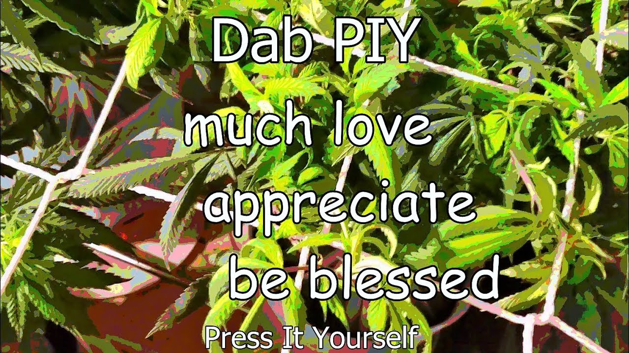 Dab 87 Prep Flip to Flower