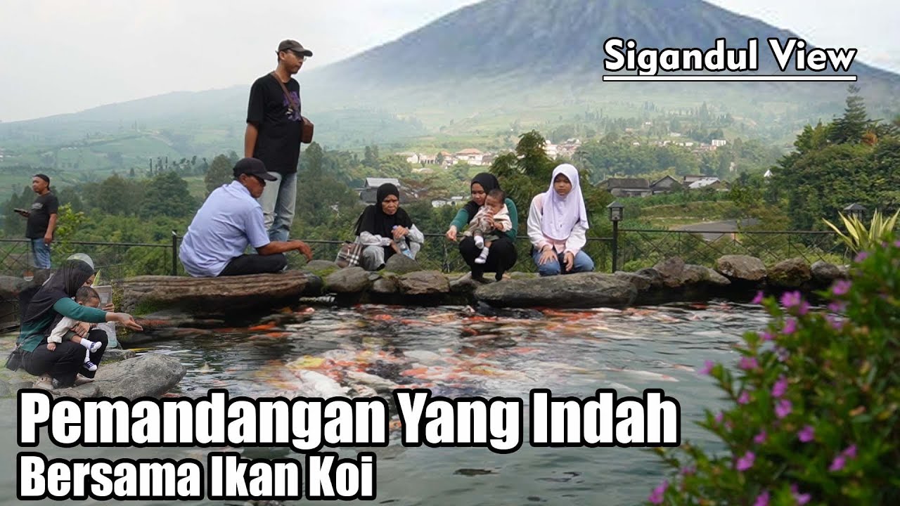 Mampir ke Sigandul View Temanggung Ternyata Ada Kolam Koinya dan Pemandangan Yang Sangat Indah