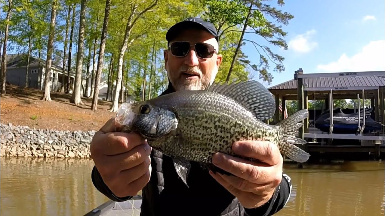 Tenkara & Fly Fishing for Crappie - Apr. 15, 2023