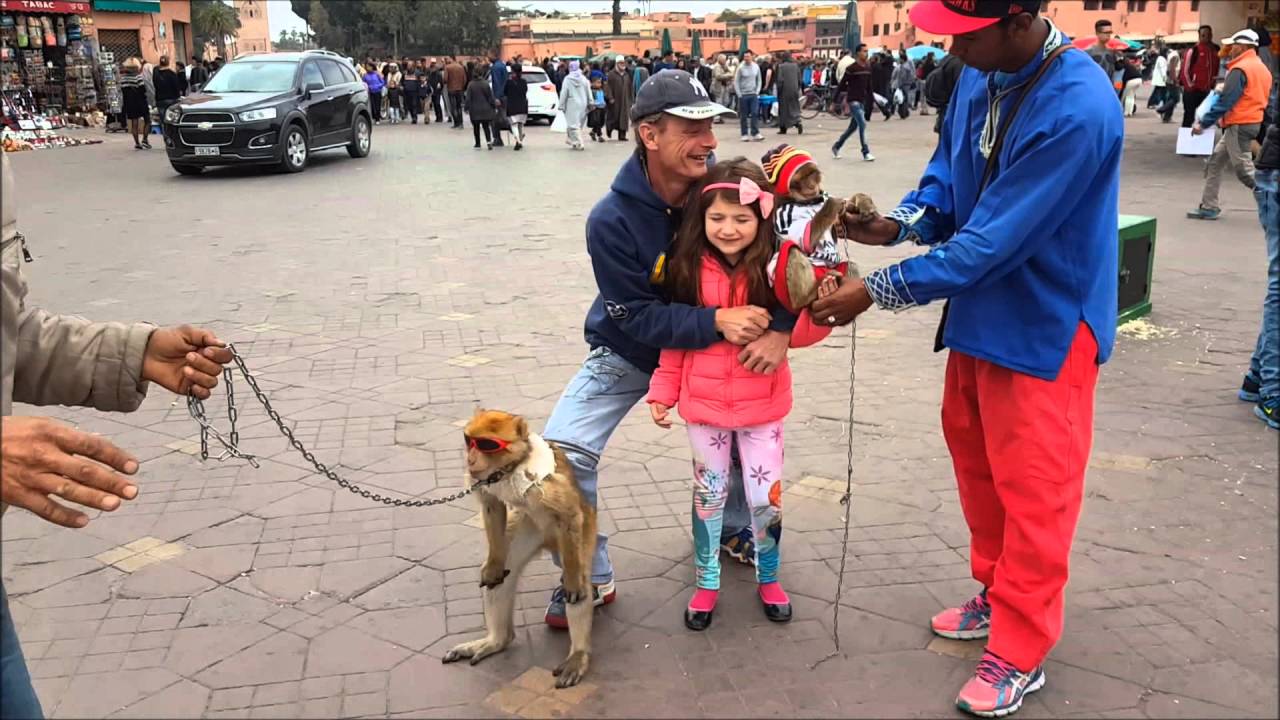 Vengeur et les singes Place Jemaa el Fna Madina Marmara Marrakech Avril 2016