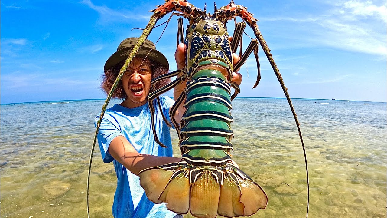 ย่างกุ้งมังกร