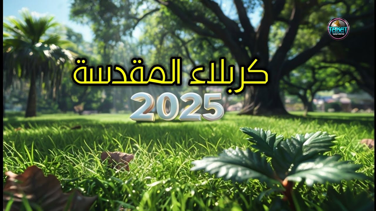 كربلاء المقدسة استقبال العام الجديد 2025 شارع السناتر