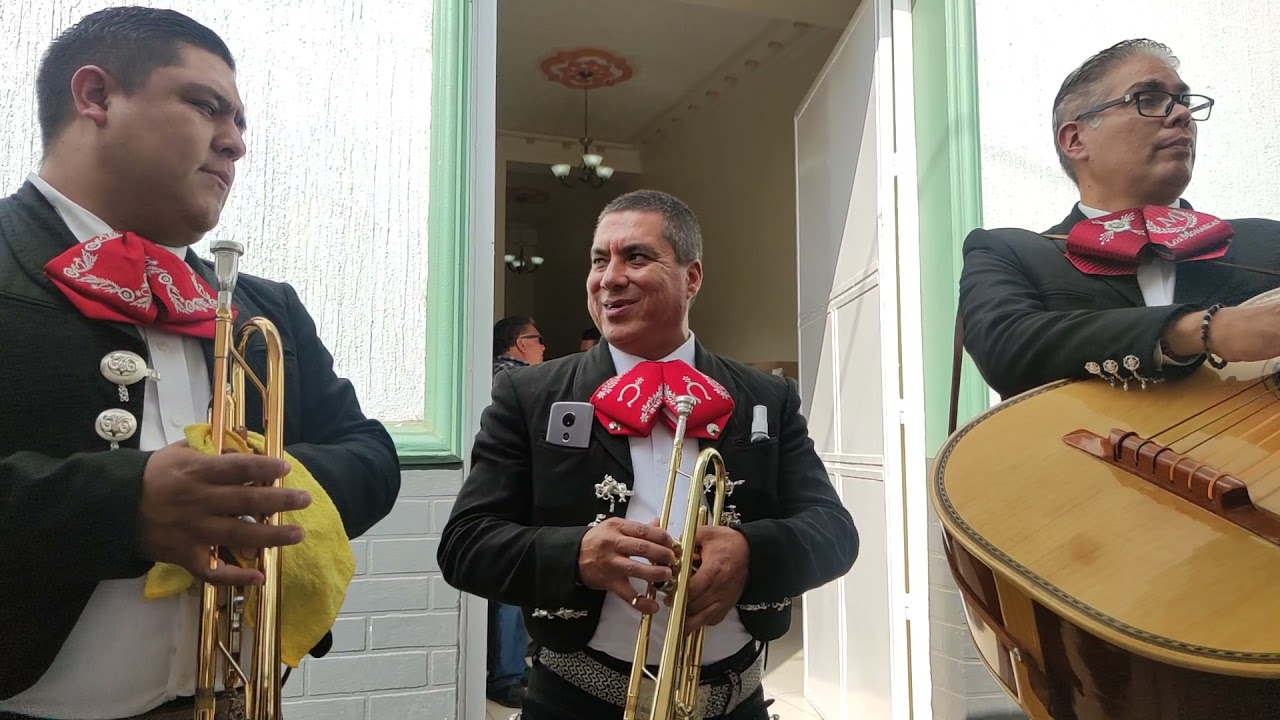Sale una página más con acordeon Mariachi Imperial de Zamora Michoacán @cotidiano399