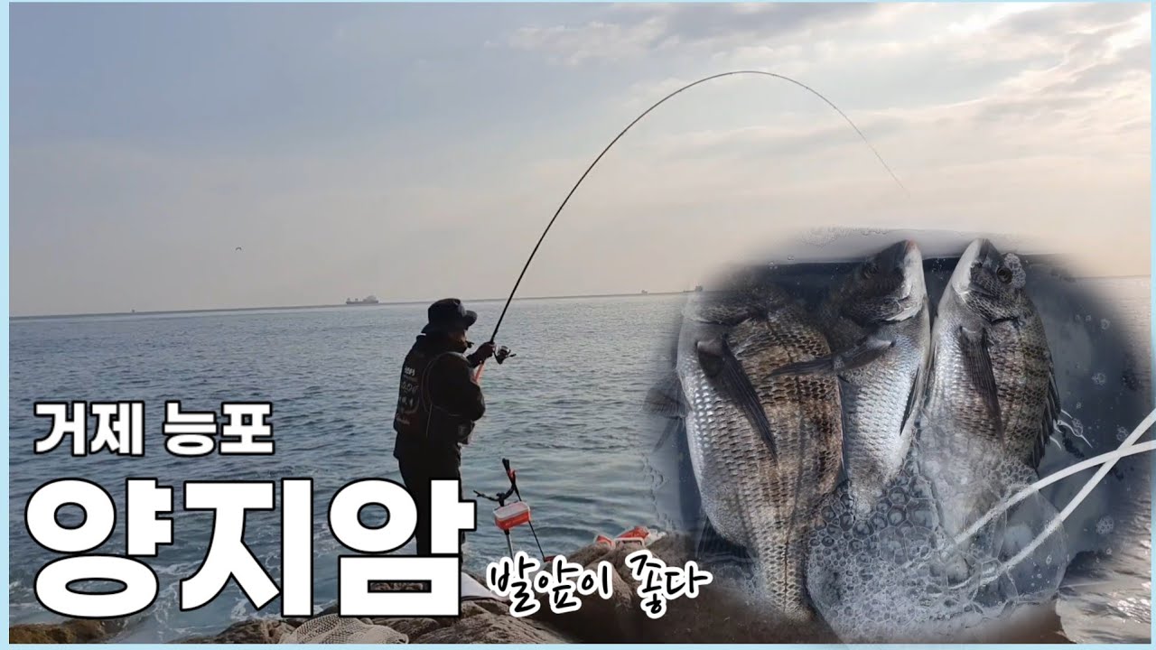양지암 감성돔 포인트 발앞 공략이라 편해요