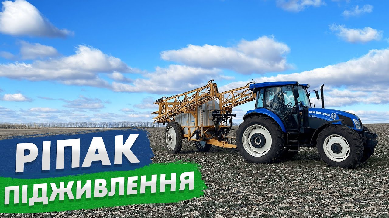 Що робити з ріпаком при недостачі азоту? Вносимо КАС-32.