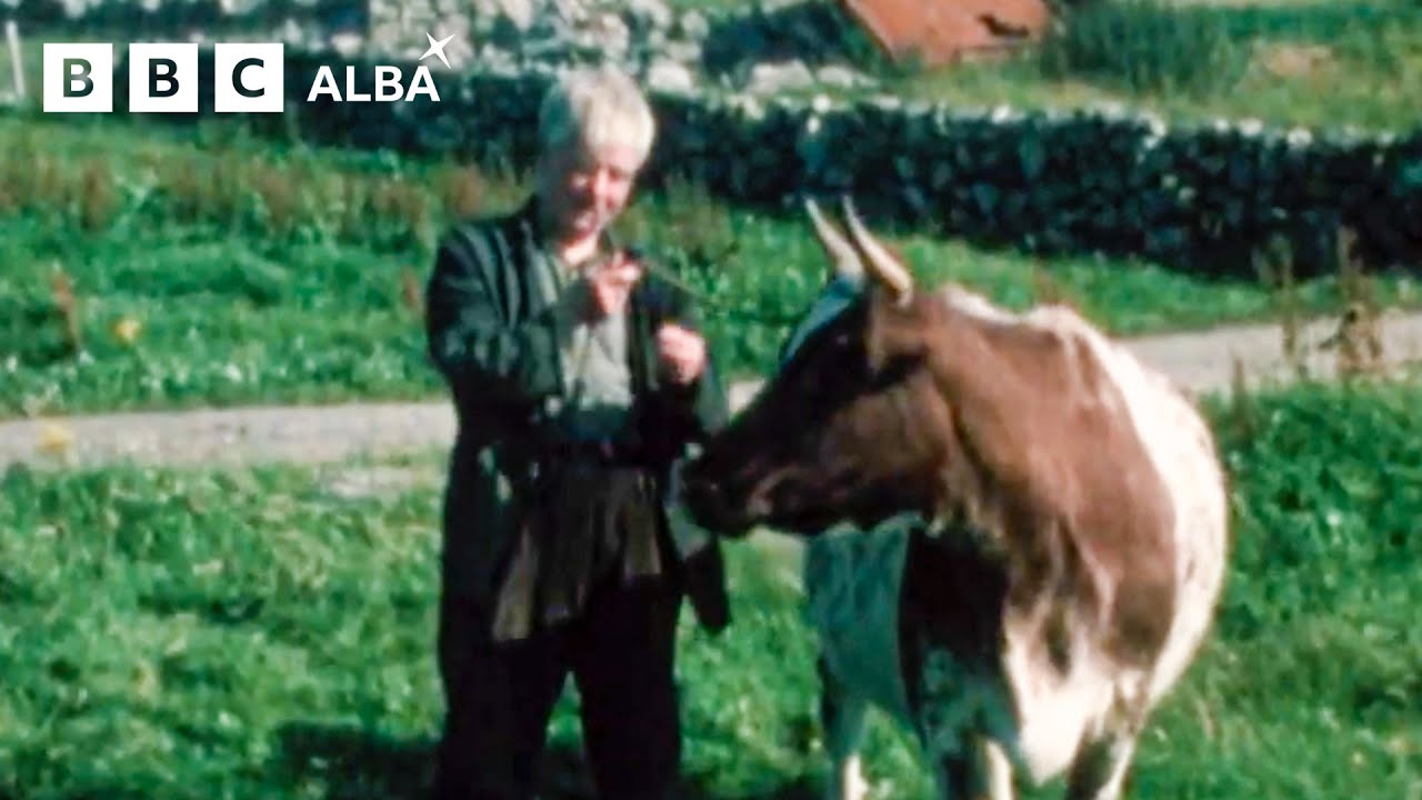 Crofting - Faodail: Beatha nan Eilean | BBC ALBA