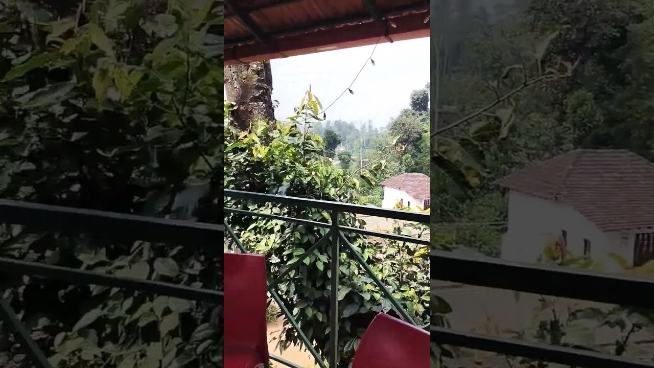 Budget Stay in Coorg | Zostel Coorg | #coorg #zostel #stay