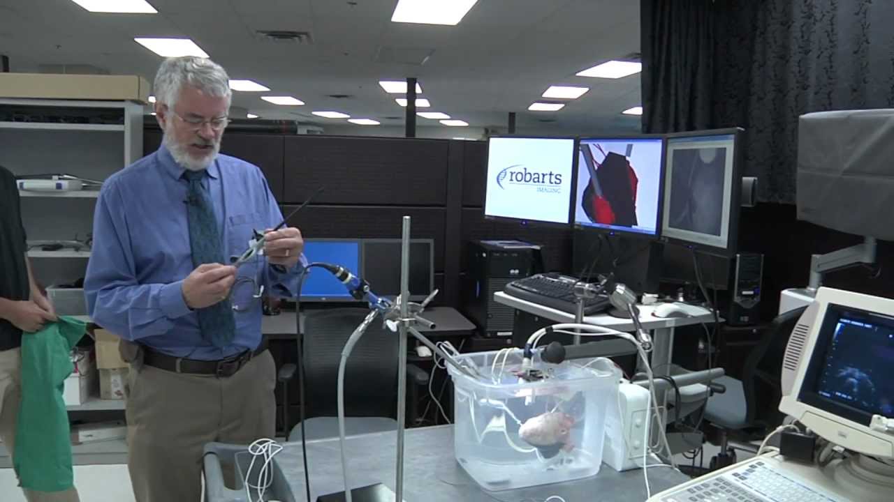 Robarts Virtual Tour - Image Guided Surgery Lab