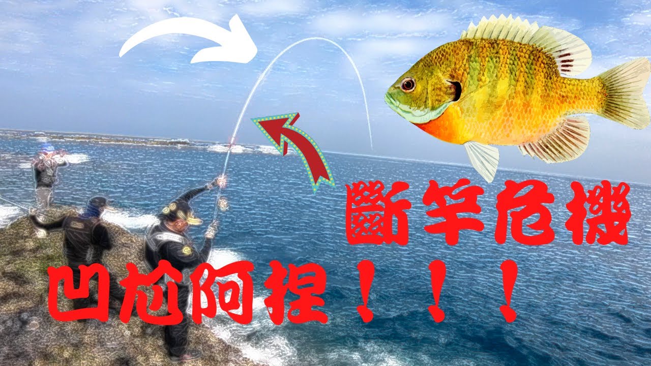 澎湖磯釣！上礁竟遇破十斤巨獸 斷竿危機！！#釣魚 #澎湖磯釣 #半游動  FT. 浣熊漁樂咖