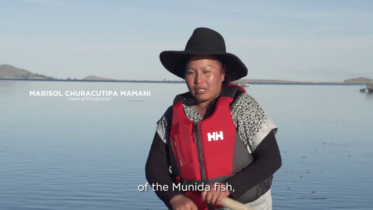 Las mujeres acuícolas del lago Arapa - The aquaculture women of Lake Arapa