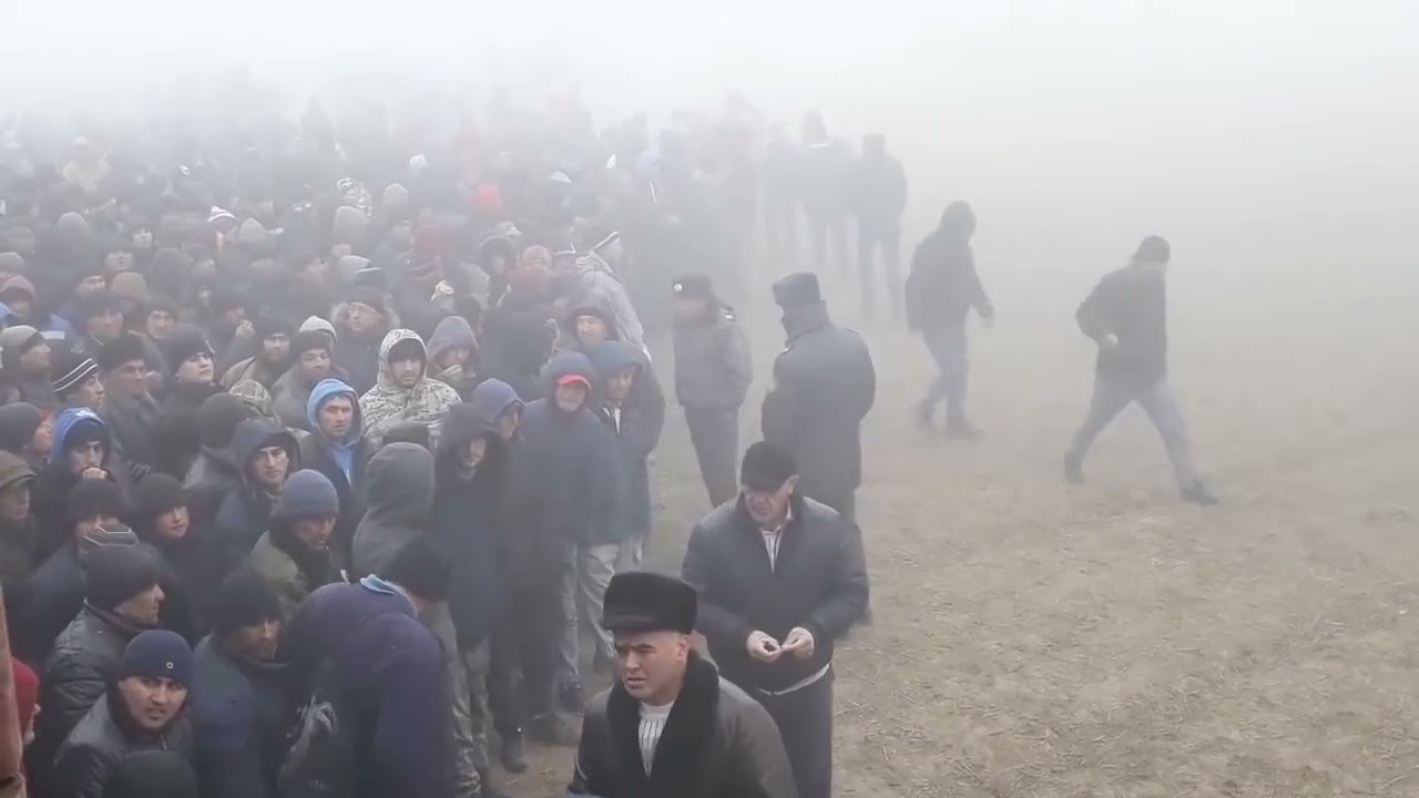 Бузкаши Ш.Истаравшан Чорбог Нишон полвон✊ #алихамзатв #алижон_солиев #ot _buzkashi_tjuz