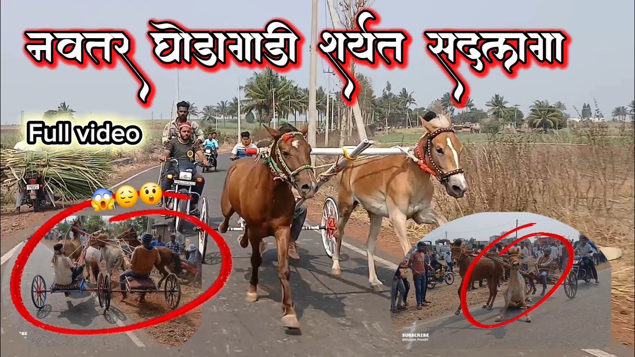 नवतर घोडागाडी शर्यत (सदलगा)🚩🚩😱