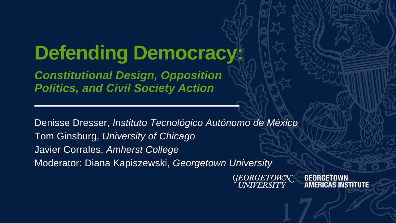 Panel 3: Defending Democracy: Constitutional Design, Opposition Politics, and Civil Society Action