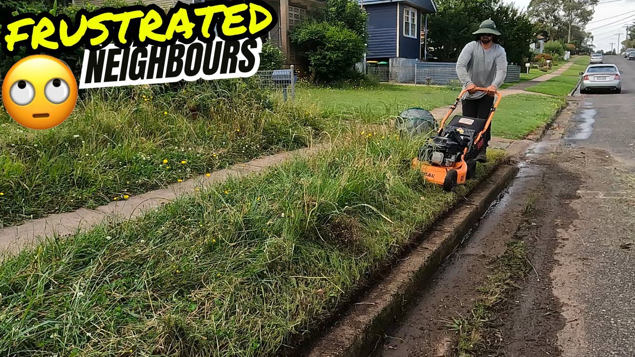 This overgrown yard went from judged to joyful. Satisfying transformation.