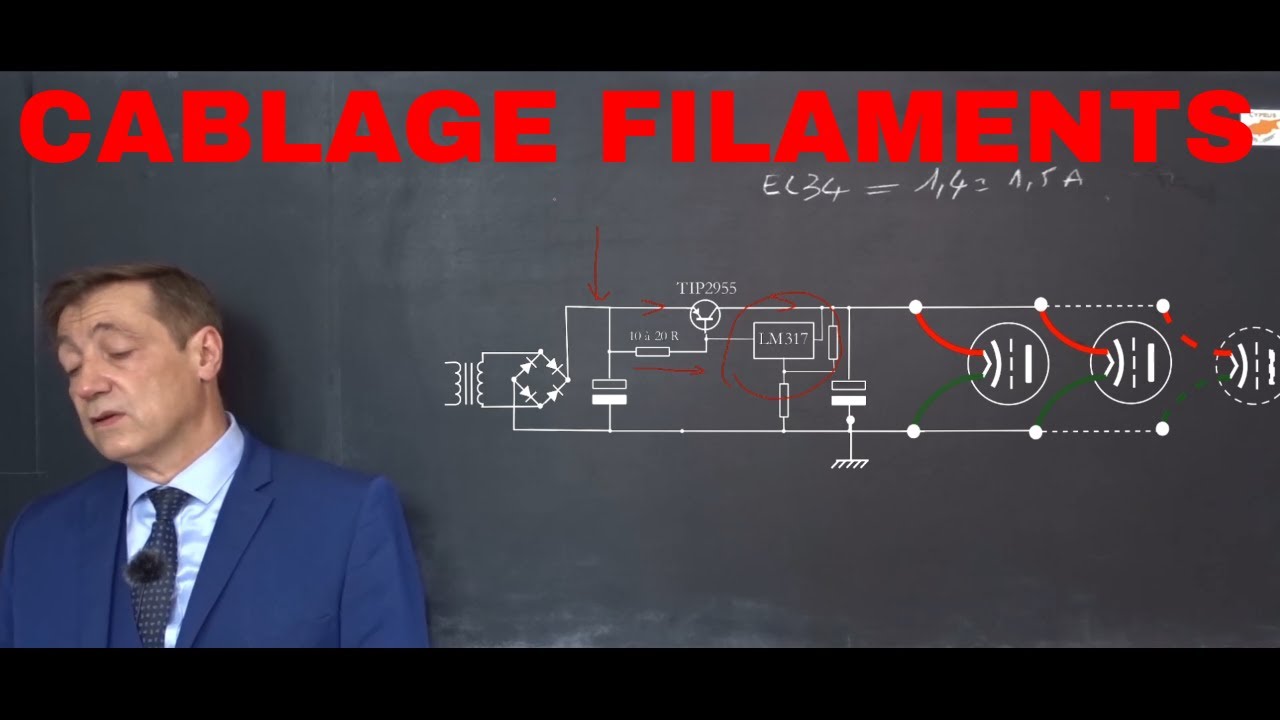 38-FILAMENTS ET DISPOSITION DES ELEMENTS CONSTITUTIFS