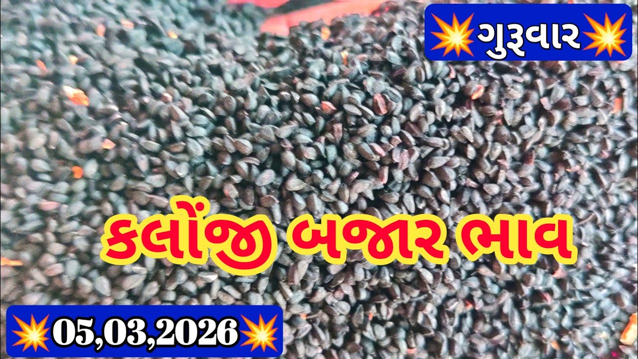 ગોંડલ કલોજી ના ભાવ  / કલોજી નો ભાવ / કલોજી ની બજાર / Gondal market yaad 05,03,2026