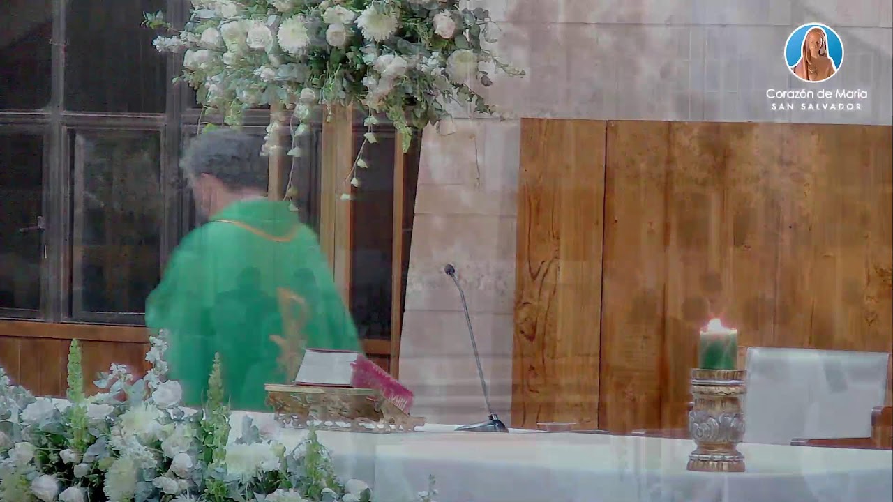 Santa Misa del 1 de febrero 2026