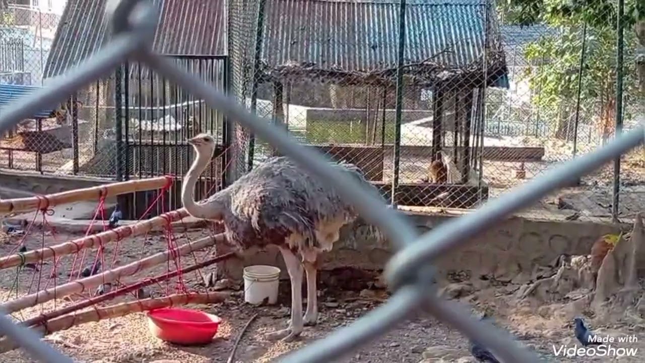 बुटवल फूलबारी