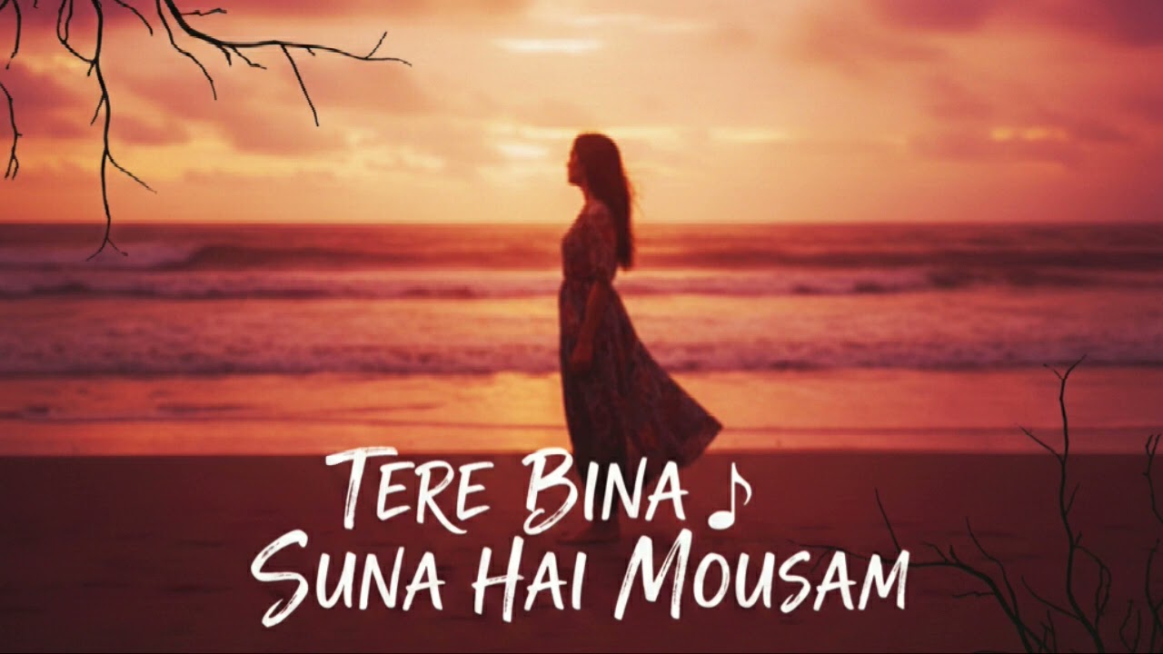 Tere Bina Suna hai mousam ❤️ | Tere Bin #90slovesong#Hindihitsongs#Newbollywoodsongs