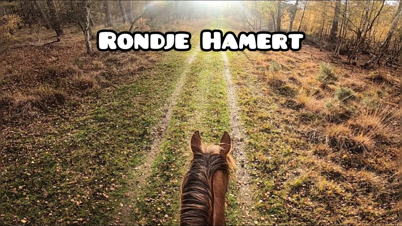 Rondje Hamert Wellerlooi | Ride with us #5