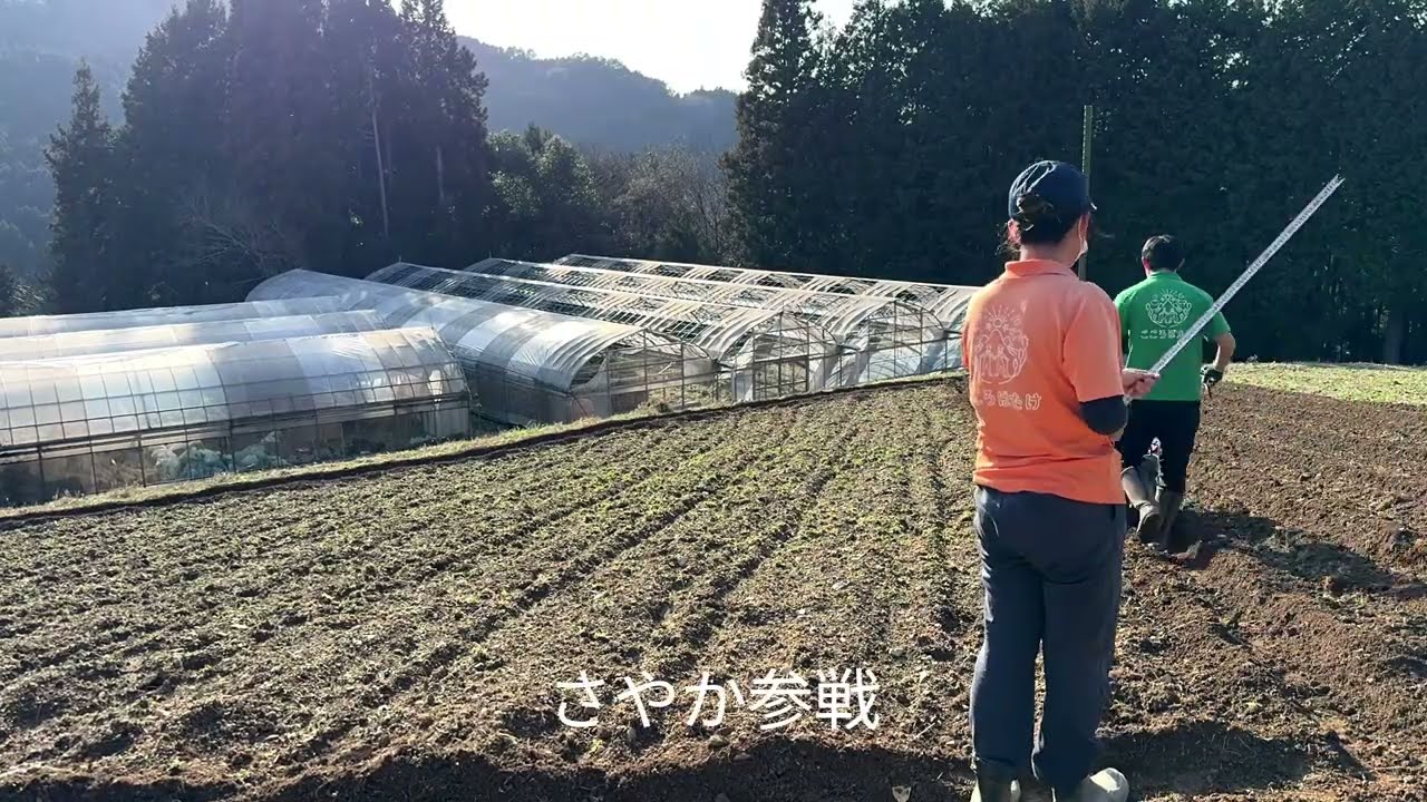 じゃがいも準備②