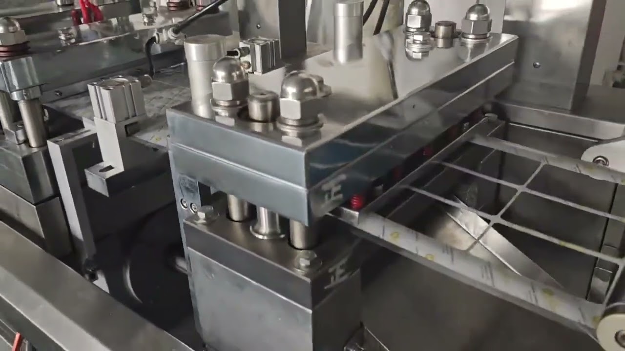 Blisteratrice automatica - Modello DPB250E