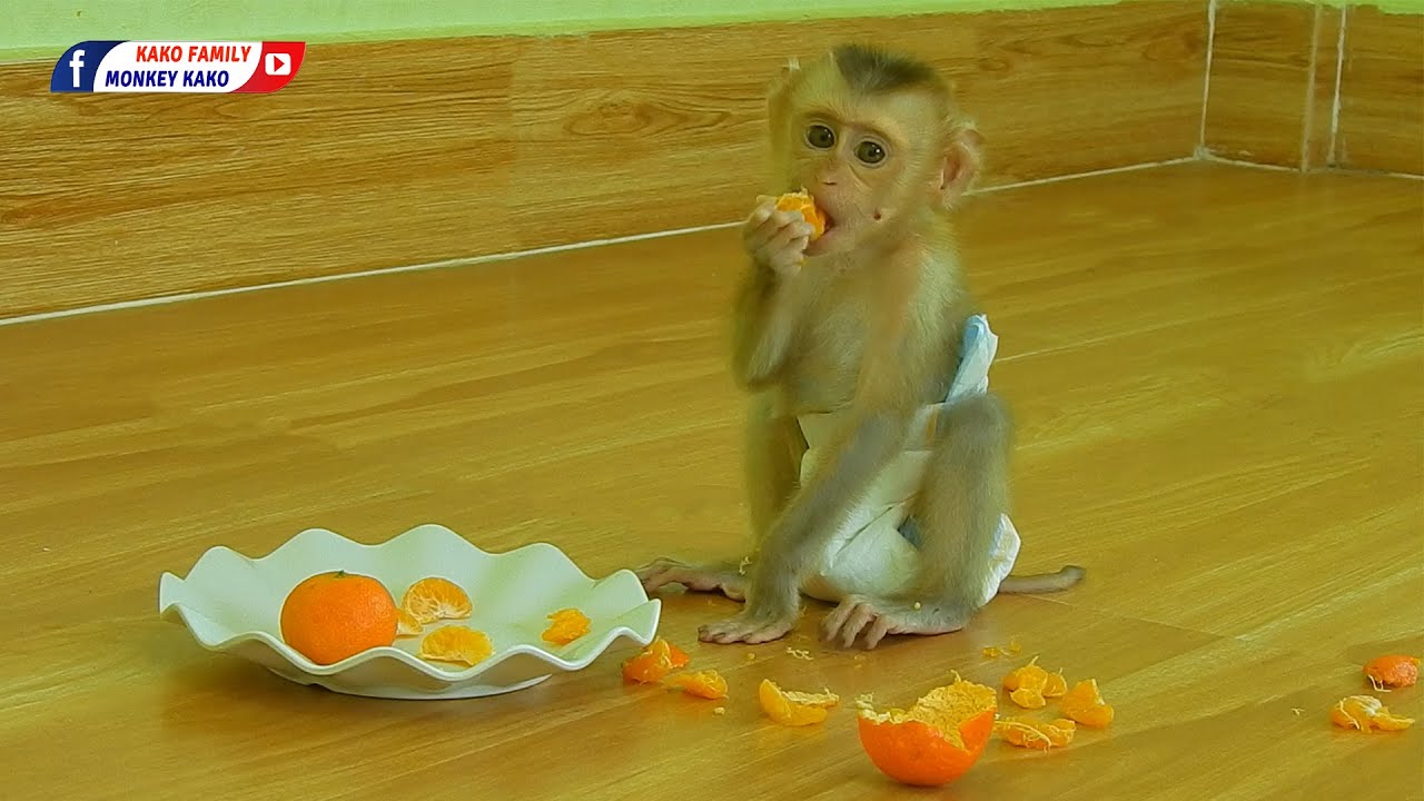 Kako Family | Tiny Baby Olly Eating Sweet Orange Fruits
