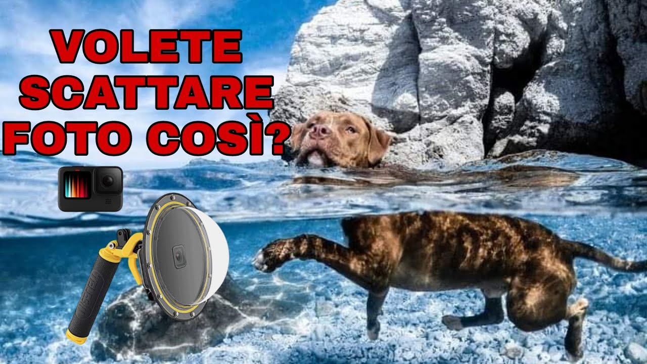 TELESIN - Dome Port per GoPro Hero 10 e 9, ITA