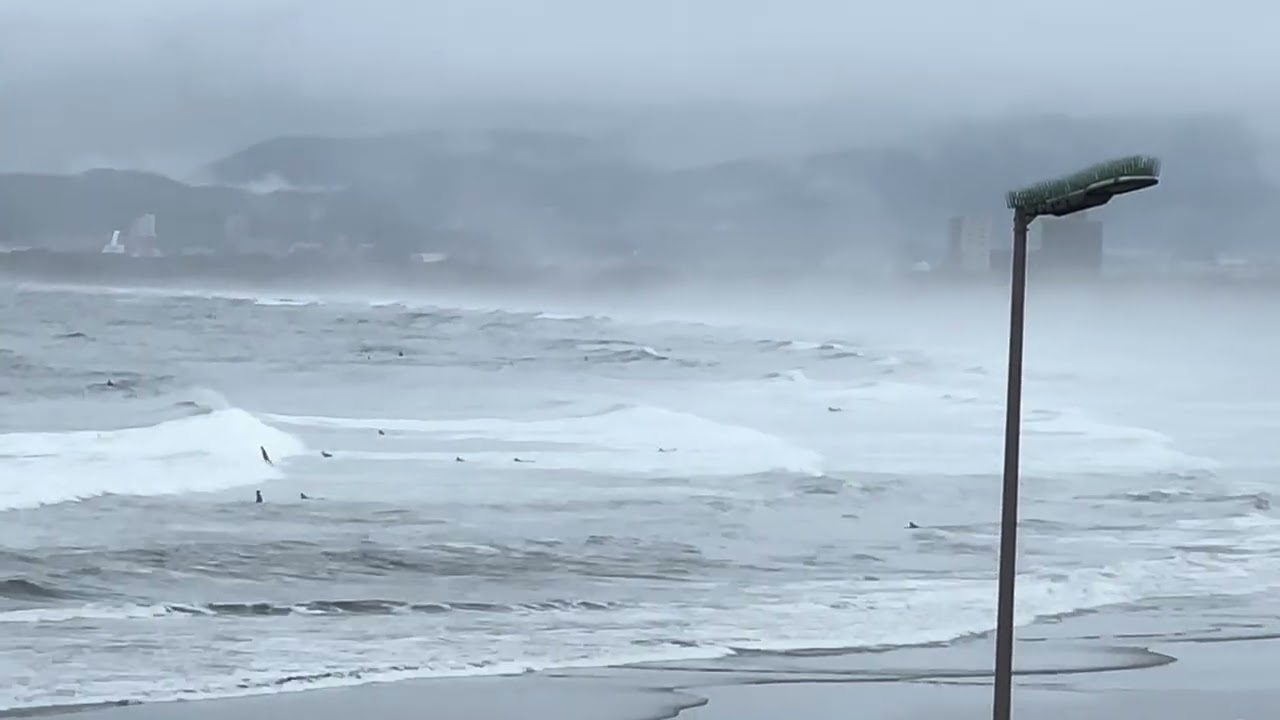 【鵠沼海岸】2025.5.10(土)AMハラムネ