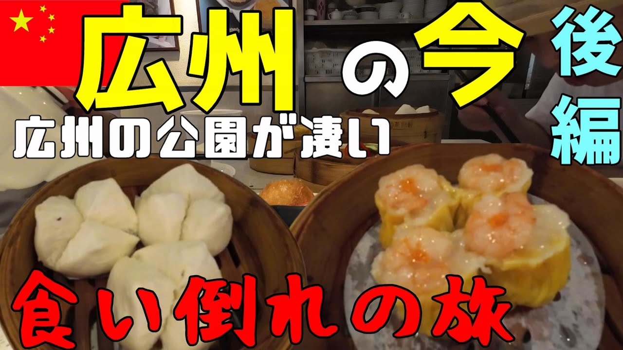 崖っぷち中国駐在員の孤独な日常 広州の今 後編 広州食い倒れの旅 公園の人たちから見る中国の今 母の介護から再び海外駐在員へ 中国深セン・東莞孤独な男の日常 VLOG73