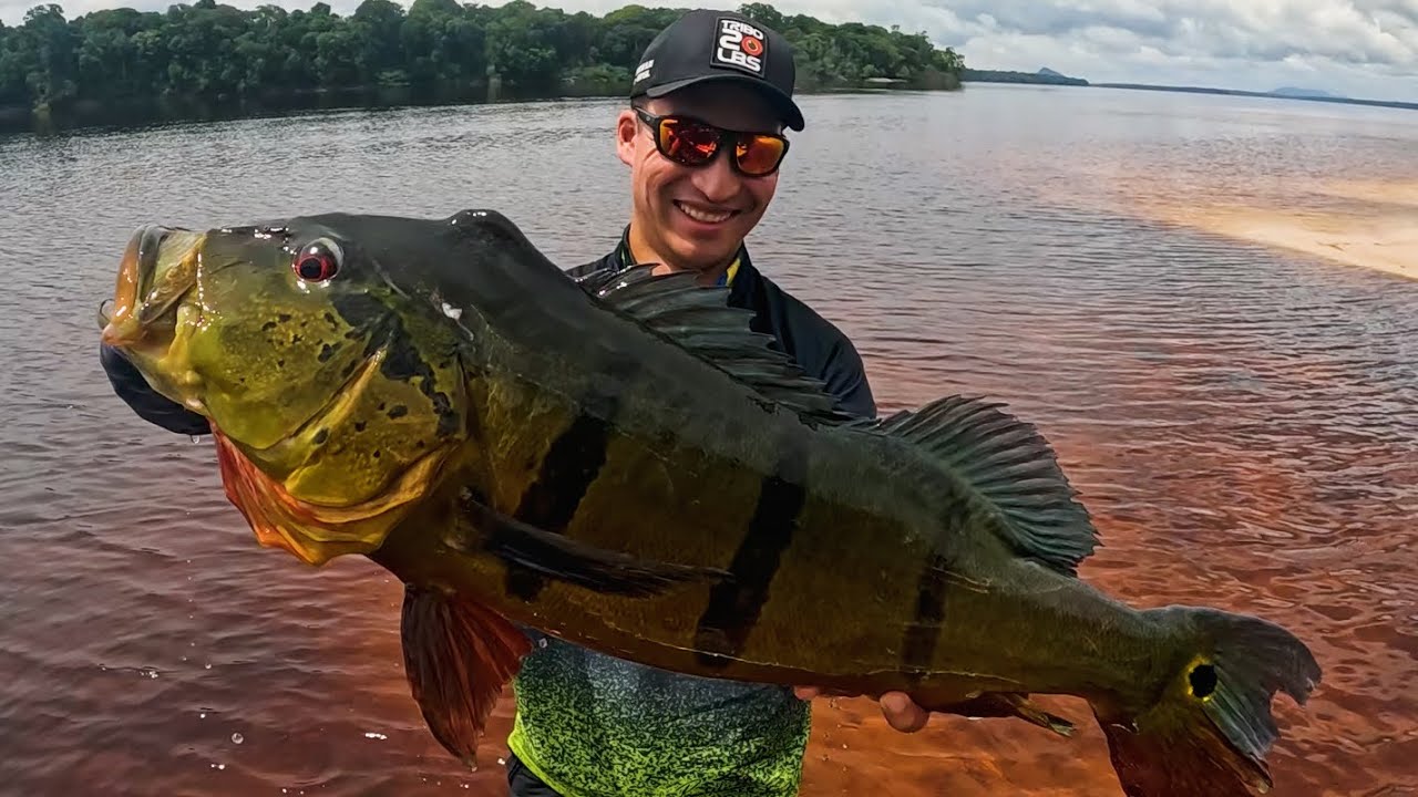 RECORDE PESSOAL DE TUCUNARÉ AÇU DO RENAN NAKAMURA!! Zaltana Dia 05