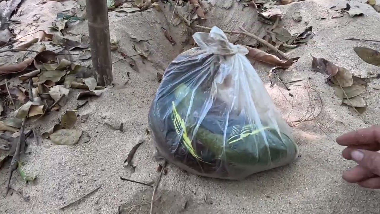 ວັນສຸດທ້າຍທີ່ໄຊ້ຊີວິດຢູ່ປ່າ2ຄົນກັບພານເພັດ// วันสุดท้ายที่ใช้ชีวิตอยู่ป่า 2 คนกับพรานนเพชร