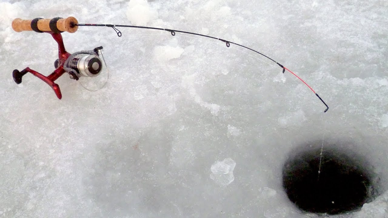 Обзор зимнего фидера  SALMO ICE FEEDER.