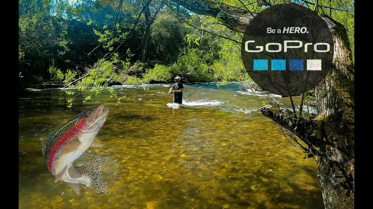 Camping & Trout Fishing in Kiewa River filmed with GoPro Hero 8 Black
