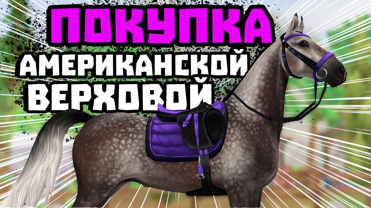 ПОКУПКА АМЕРИКАНСКИХ ВЕРХОВЫХ | ЛАГЕРЬ ВЕСТЕРН | Star Stable