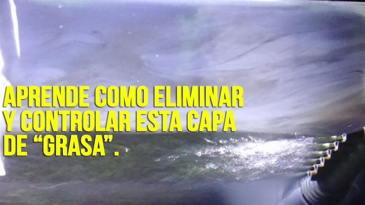 GRASA en la superficie del acuario | BIOFILM .... 👀