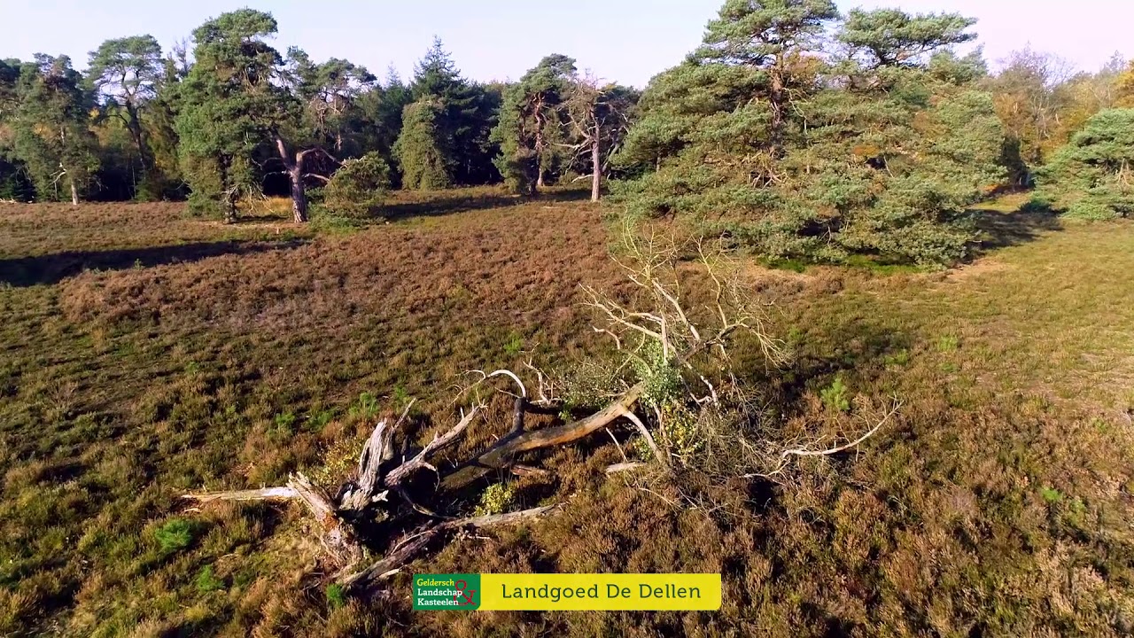Natuurbeelden landgoed De Dellen