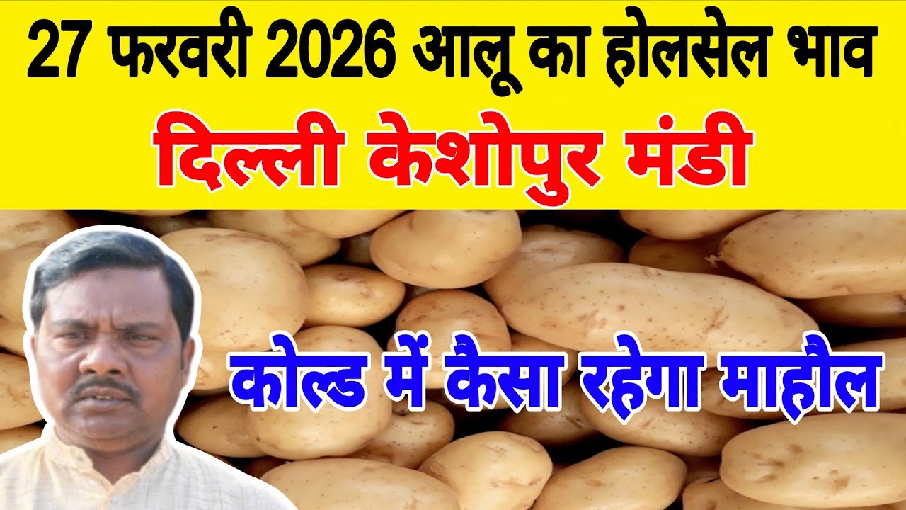 दिल्ली आलू का भाव | 🥔potato market price today | Today Potato rate | 27 Feb 2026 #potato #Aalukebhav