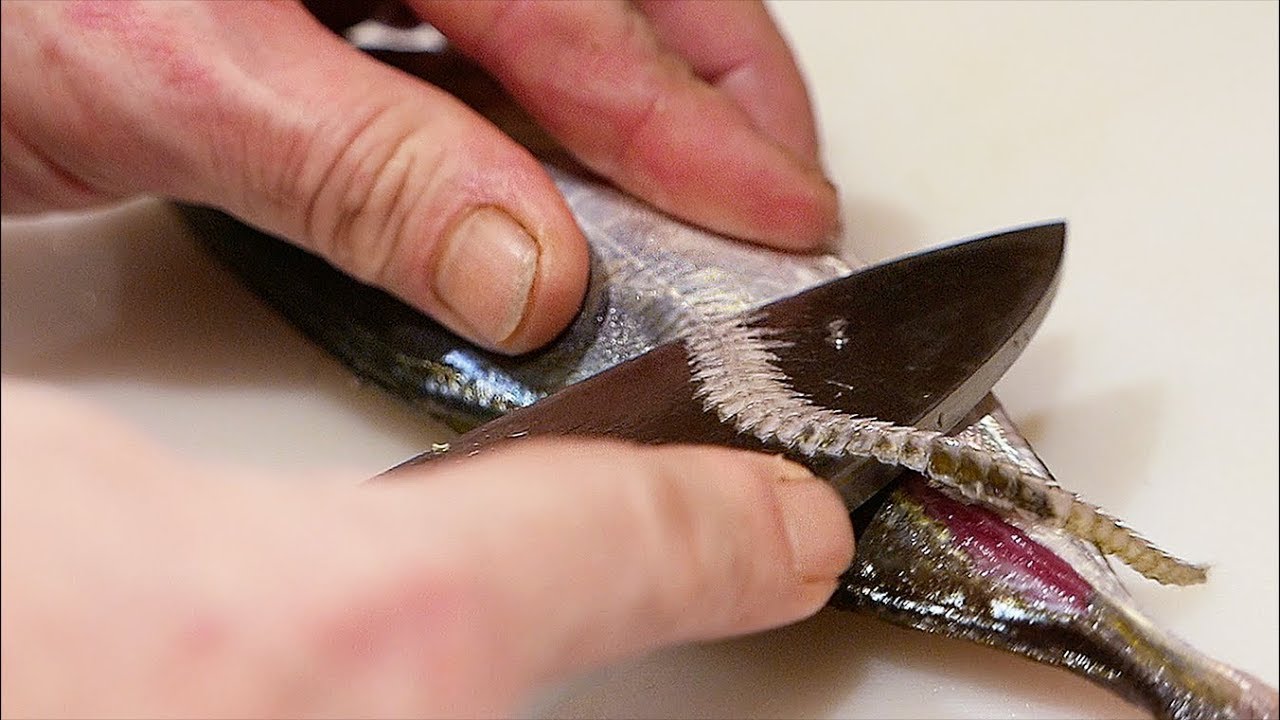 Японская еда - Красная Люциан рыба рис скумбрия сашими Токио Япония