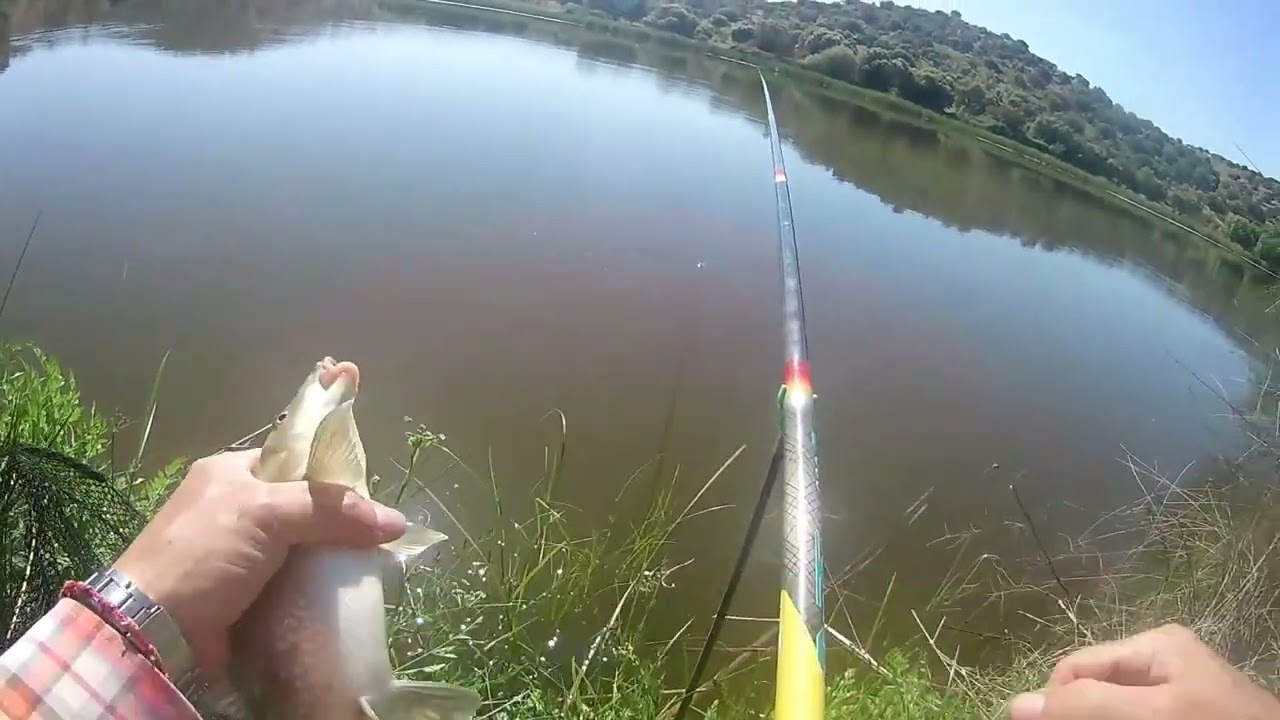 PESCANDO AL COUP. ABRIL 2023