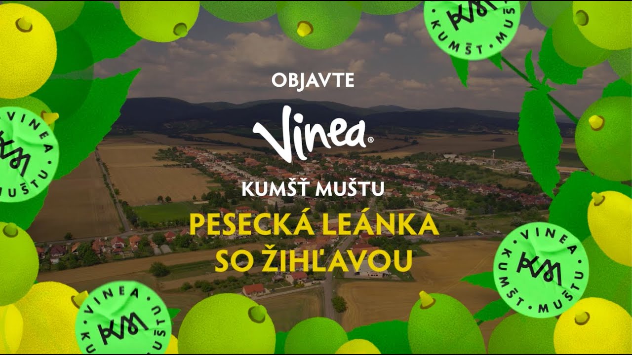 ČAJKOV: Pr&iacute;beh Viney Kum&scaron;t Mu&scaron;tu Peseck&aacute; Le&aacute;nka so žihľavou