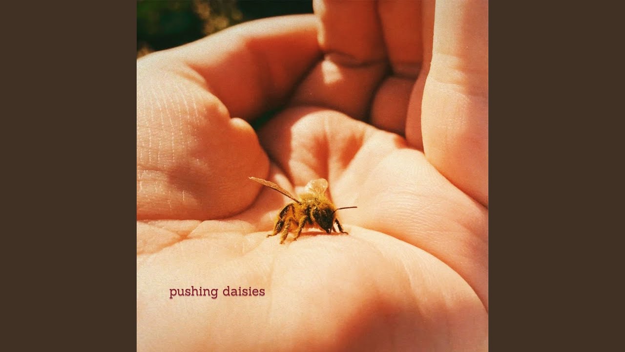 Pushing Daisies